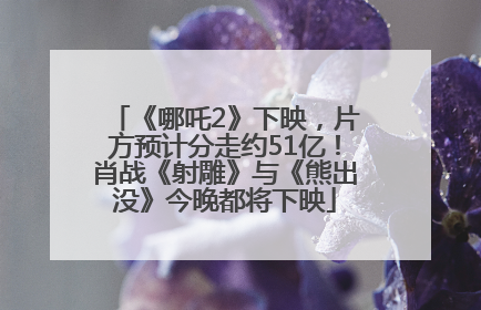 《哪吒2》下映，片方预计分走约51亿！肖战《射雕》与《熊出没》今晚都将下映