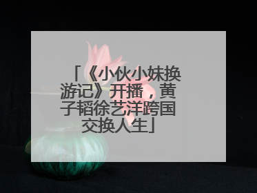 《小伙小妹换游记》开播，黄子韬徐艺洋跨国交换人生