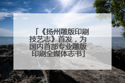 《扬州雕版印刷技艺志》首发，为国内首部专业雕版印刷全媒体志书