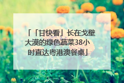 「甘快看」长在戈壁大漠的绿色蔬菜38小时直达粤港澳餐桌