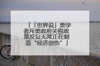 「世界说」美学者斥美政府关税政策反复无常正在制造“经济创伤”