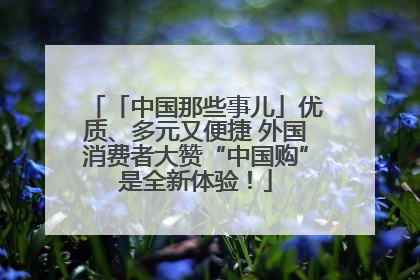 「中国那些事儿」优质、多元又便捷 外国消费者大赞“中国购”是全新体验！