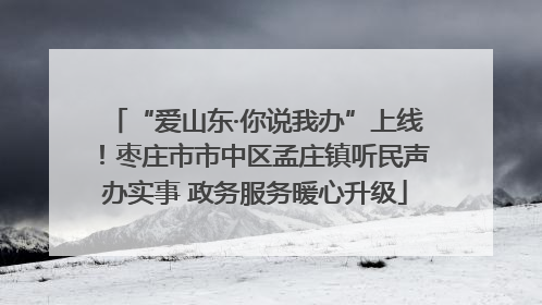 “爱山东·你说我办”上线！枣庄市市中区孟庄镇听民声办实事 政务服务暖心升级