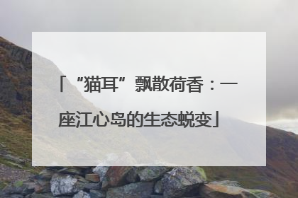 “猫耳”飘散荷香：一座江心岛的生态蜕变