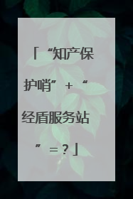 “知产保护哨”+“经盾服务站”=？