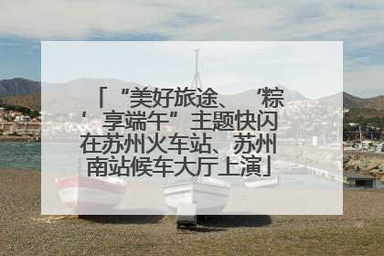 “美好旅途、‘粽’享端午”主题快闪在苏州火车站、苏州南站候车大厅上演