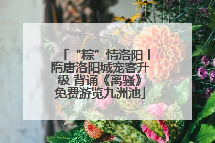 “粽”情洛阳丨隋唐洛阳城宠客升级 背诵《离骚》免费游览九洲池