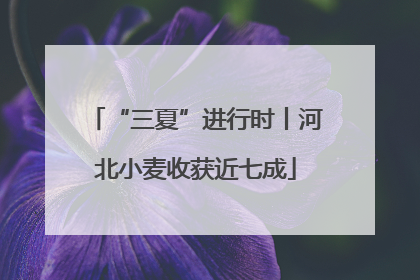 “三夏”进行时丨河北小麦收获近七成