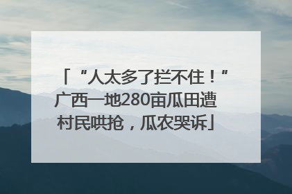 “人太多了拦不住！”广西一地280亩瓜田遭村民哄抢，瓜农哭诉