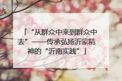 “从群众中来到群众中去”——传承弘扬沂蒙精神的“沂南实践”