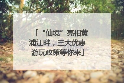 “仙境”亮相黄浦江畔，三大优惠游玩政策等你来