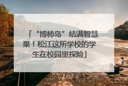 “博柿岛”结满智慧果！松江这所学校的学生在校园里探险