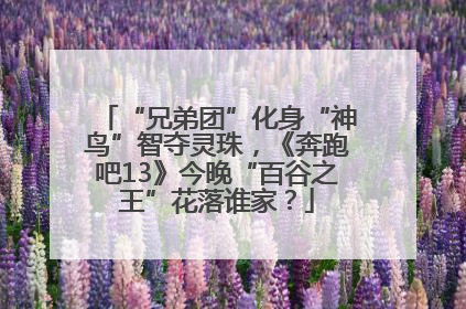 “兄弟团”化身“神鸟”智夺灵珠，《奔跑吧13》今晚“百谷之王”花落谁家？