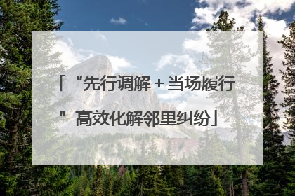 “先行调解＋当场履行”高效化解邻里纠纷