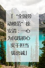 “全国劳动模范”徐安清:一心为民践初心 实干担当铸忠诚