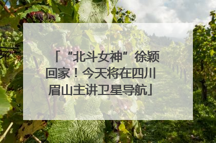 “北斗女神”徐颖回家！今天将在四川眉山主讲卫星导航