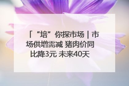 “培”你探市场｜市场供增需减 猪肉价同比降3元 未来40天便宜猪肉敞开吃
