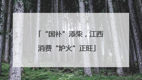 “国补”添柴，江西消费“炉火”正旺