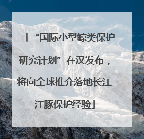 “国际小型鲸类保护研究计划”在汉发布，将向全球推介落地长江江豚保护经验