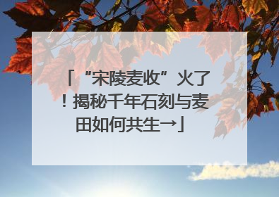 “宋陵麦收”火了！揭秘千年石刻与麦田如何共生→