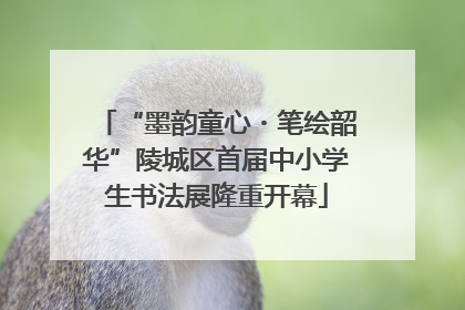 “墨韵童心・笔绘韶华”陵城区首届中小学生书法展隆重开幕