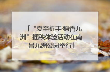 “夏至祈丰·稻香九洲”插秧体验活动在南昌九洲公园举行