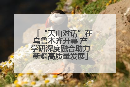 “天山对话”在乌鲁木齐开幕 产学研深度融合助力新疆高质量发展