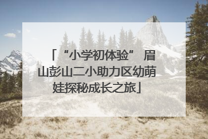 “小学初体验” 眉山彭山二小助力区幼萌娃探秘成长之旅