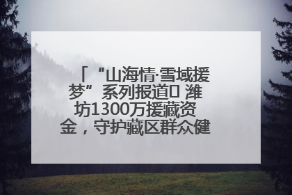 “山海情·雪域援梦”系列报道⑪ 潍坊1300万援藏资金，守护藏区群众健康“最后一公里”
