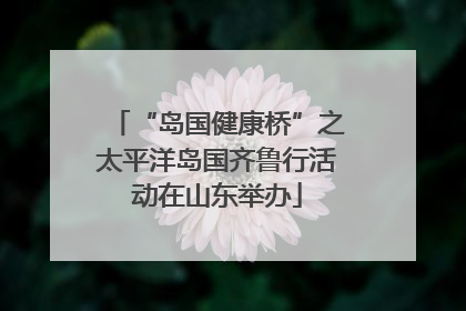 “岛国健康桥”之太平洋岛国齐鲁行活动在山东举办