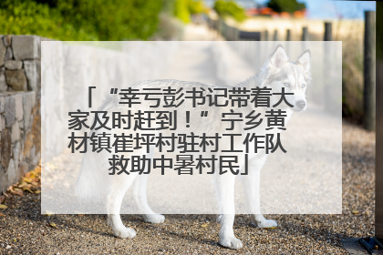 “幸亏彭书记带着大家及时赶到！”宁乡黄材镇崔坪村驻村工作队救助中暑村民