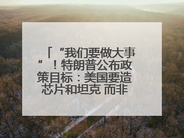 “我们要做大事”！特朗普公布政策目标：美国要造芯片和坦克 而非T恤袜子