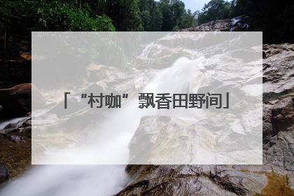 “村咖”飘香田野间