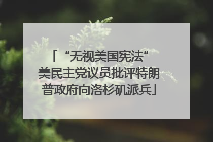 “无视美国宪法” 美民主党议员批评特朗普政府向洛杉矶派兵