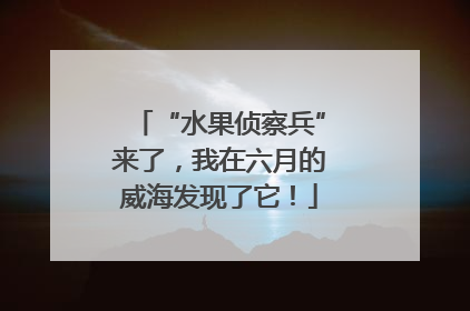 “水果侦察兵”来了，我在六月的威海发现了它！
