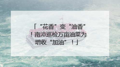 “花香”变“油香”！南漳巡检万亩油菜为增收“加油”！