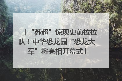 “苏超”惊现史前拉拉队！中华恐龙园“恐龙大军”将亮相开幕式