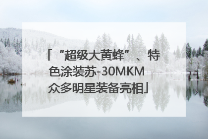 “超级大黄蜂”、特色涂装苏-30MKM 众多明星装备亮相