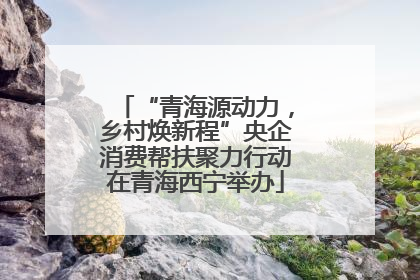 “青海源动力，乡村焕新程”央企消费帮扶聚力行动在青海西宁举办