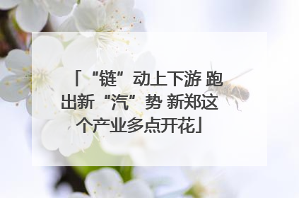 “链”动上下游 跑出新“汽”势 新郑这个产业多点开花