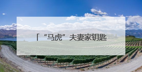 “马虎”夫妻家钥匙插门上忘拔，次日发现钱包竟“蒸发”了