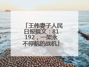 王伟妻子人民日报撰文：81192，一架永不停航的战机