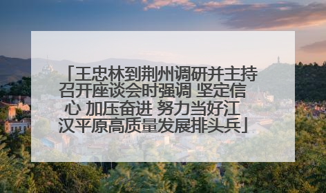 王忠林到荆州调研并主持召开座谈会时强调 坚定信心 加压奋进 努力当好江汉平原高质量发展排头兵
