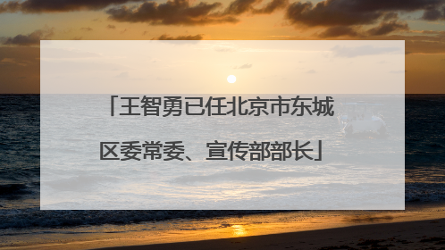 王智勇已任北京市东城区委常委、宣传部部长