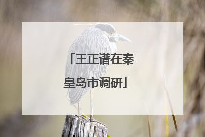 王正谱在秦皇岛市调研
