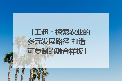 王超：探索农业的多元发展路径 打造可复制的融合样板