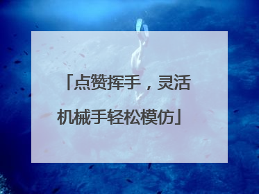 点赞挥手，灵活机械手轻松模仿