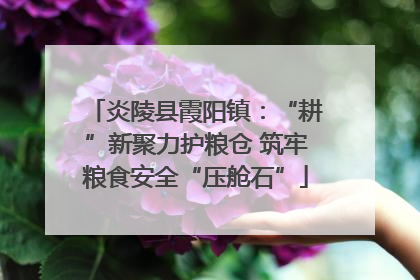 炎陵县霞阳镇：“耕”新聚力护粮仓 筑牢粮食安全“压舱石”