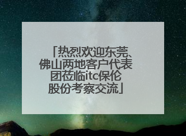 热烈欢迎东莞、佛山两地客户代表团莅临itc保伦股份考察交流