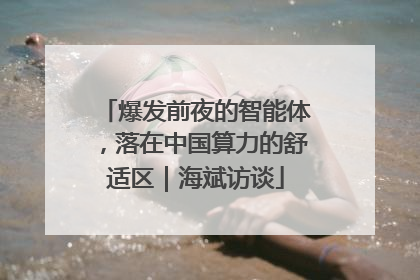 爆发前夜的智能体，落在中国算力的舒适区｜海斌访谈